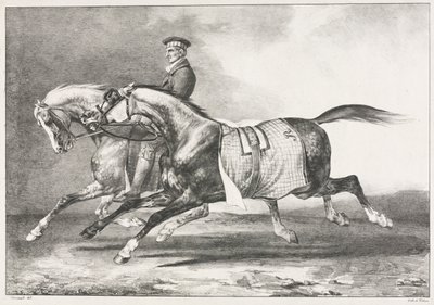 Zwei gescheckte Pferde beim Üben von Theodore Gericault