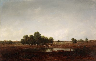 Landschaft mit Sumpf von Pierre Etienne Theodore Rousseau