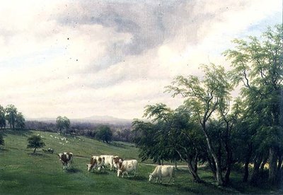 Weidende Rinder im Park von Thomas Baker
