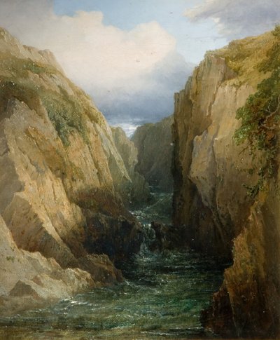 Schlucht und Fluss in Irland, 1860 von Thomas Baker