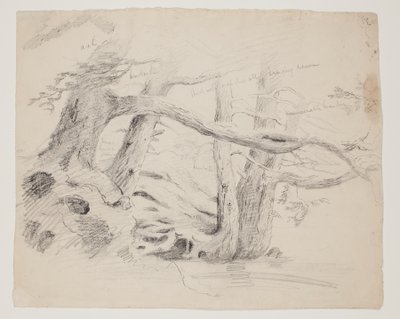 Eichen- und Hemlockbäume von Thomas Cole