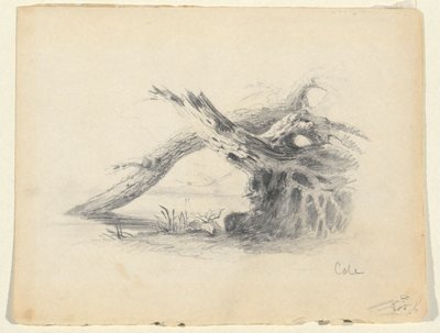 Skizze von zwei toten Bäumen von Thomas Cole