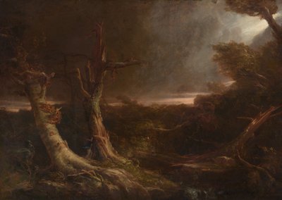 Tornado in einem amerikanischen Wald von Thomas Cole