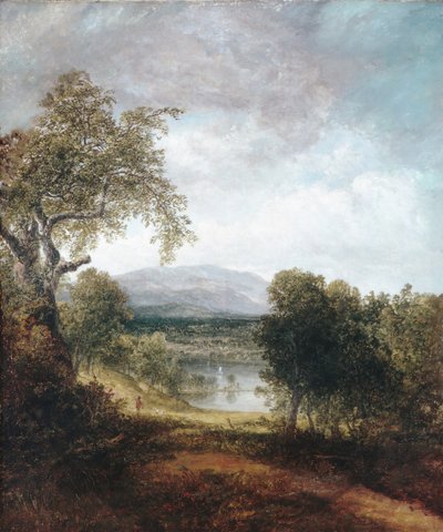 Ein Flussblick, ca. 1843-50 von Thomas Doughty