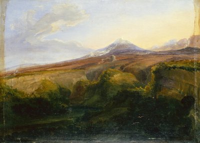 Ein Blick auf den Vesuv von Thomas Fearnley