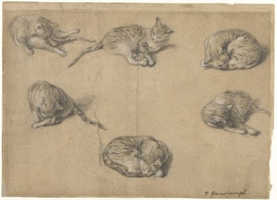 Sechs Studien einer Katze von Thomas Gainsborough