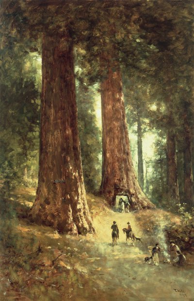 In den Redwood-Wäldern, 1899 von Thomas Hill