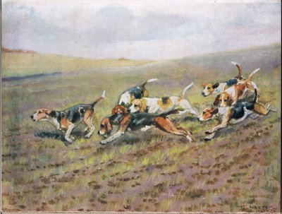 Überqueren der Felder, Illustration aus 