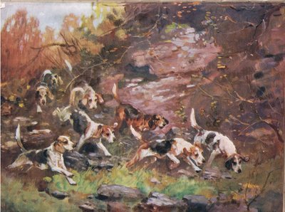 Durch das Unterholz, Illustration aus 