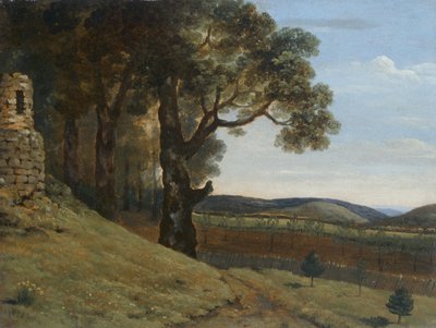 Feld bei Pencerrig von Thomas Jones