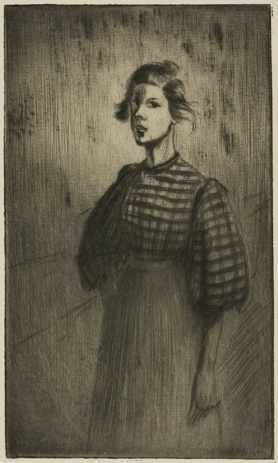 Der Lehrling von Théophile Alexandre Pierre Steinlen