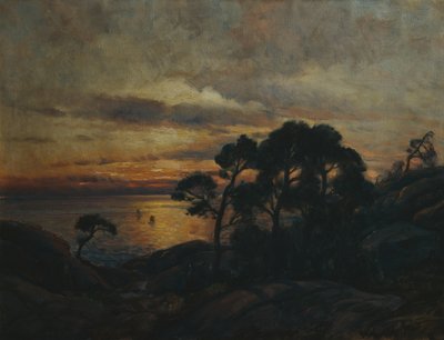 Kiefer am Sonnenuntergang von Thorolf Holmboe