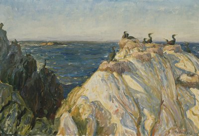 See-Vogel von Thorolf Holmboe