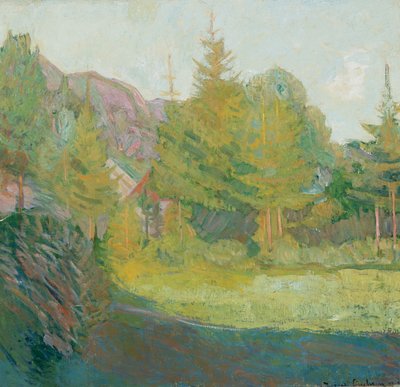 Aus Rauland in Telemark von Thorvald Erichsen