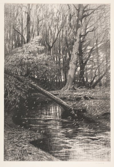 Waldlandschaft mit einem Bach von Thorvald Niss