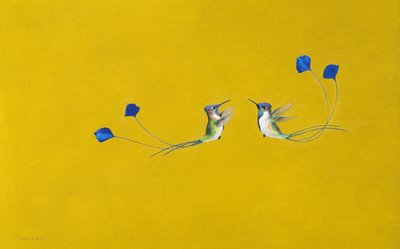 Kolibris von Tim Hayward
