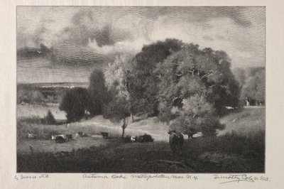 Herbst-Eichen von Timothy Cole