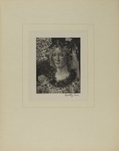 Alte italienische Meister von Timothy Cole