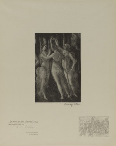 Alte italienische Meister von Timothy Cole