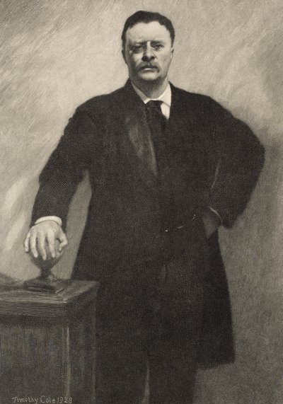 Theodore Roosevelt, 1928 von Timothy Cole