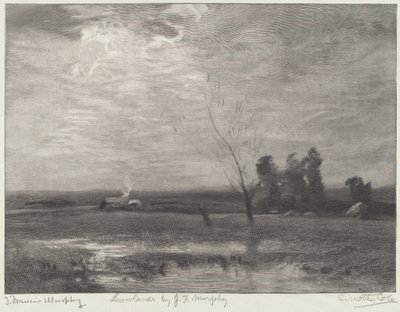 Tiefland von Timothy Cole after John Francis Murphy