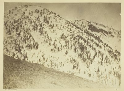 Schneegipfel, Bull Run Bergbaudistrikt, Nevada von Timothy O