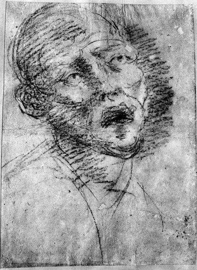 Kopf eines Mohren, ca. 1525, 1937 von Tiziano Vecelli