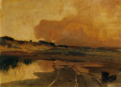 Abend im Moor von Toni von Stadler