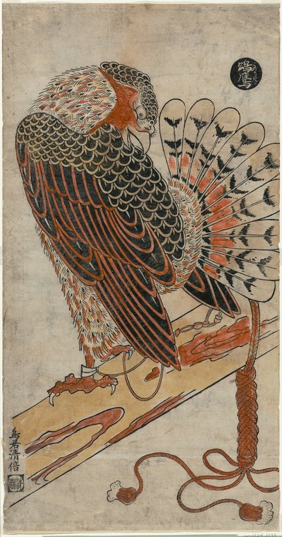 Sperber (Konori taka) von Torii Kiyomasu I