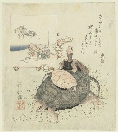 Schildkröten von Totoya Hokkei