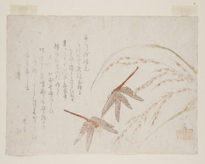 Libellen von Toyota Hokkei