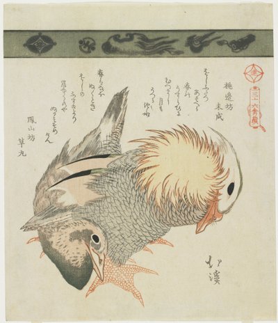 Mandarinente und Erpel, ca. 1830 von Toyota Hokkei