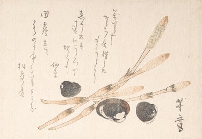 Tsukushi-Pflanze und Shijimi-Muscheln von Uematsu Toshu