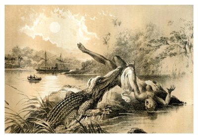 Ein schrecklicher Vorfall, 1883 von Unbekannt