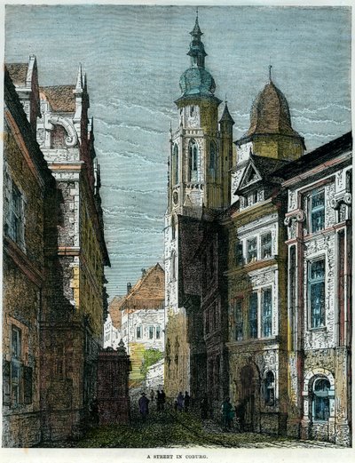 Eine Straße in Coburg, Bayern, Deutschland, ca. 1880 von Unbekannt