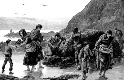 Nachwirkungen der Hungersnot, Irland 1840er, 1886 von Unbekannt