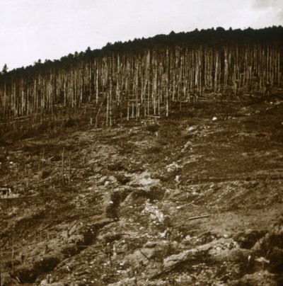 Elsass, um 1914-1918 von Unbekannt