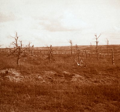 Schlachtfeld, Tahure, Nordfrankreich, um 1914-1918 von Unbekannt