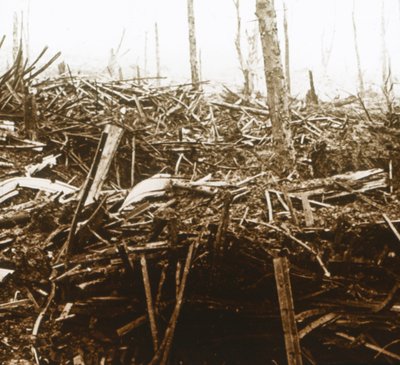 Schlachtfeld, ca. 1914-1918 von Unbekannt