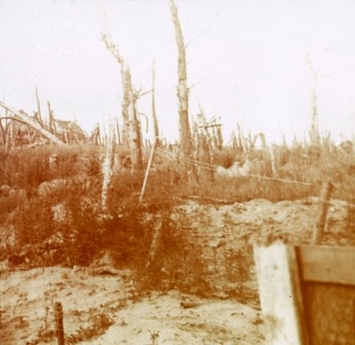 Zerstörtes Holz, Nieuwpoort, Flandern, Belgien, um 1914-1918 von Unbekannt