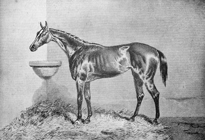 Blink Bonny, 1854-1862, 1911 von Unbekannt