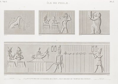 Buch: Beschreibung von Ägypten von Unbekannt