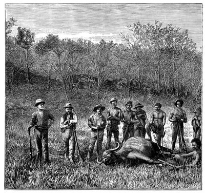 Büffeljäger im Transvaal, Südafrika, ca. 1890 von Unbekannt