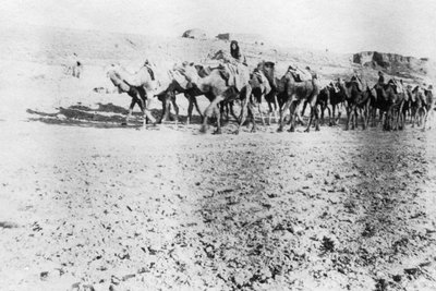 Kamelkarawane, Mosul, Mesopotamien, 1918 von Unbekannt