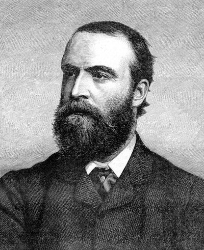 Charles Stuart Parnell, irischer Politiker des 19. Jahrhunderts, um 1874-1891 von Unbekannt