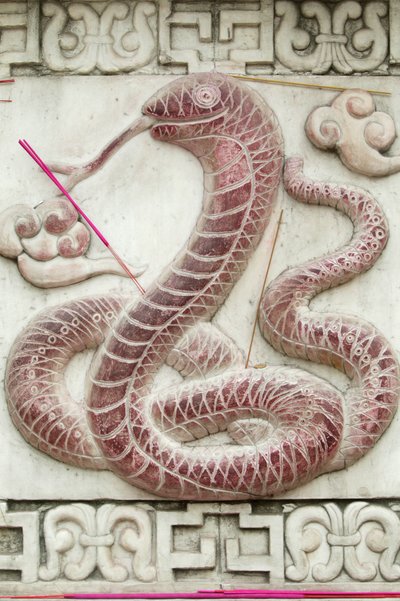 Chinesisches astrologisches Zeichen. Weißer Wolkentempel, Peking, China von Unbekannt