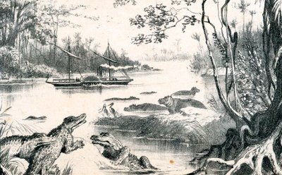 David Livingstone navigiert den Sambesi, Afrika, 1852-1864, ca. 1878 von Unbekannt