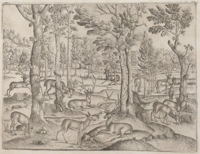 Hirsche im Wald, ca. 1520 von Unbekannt
