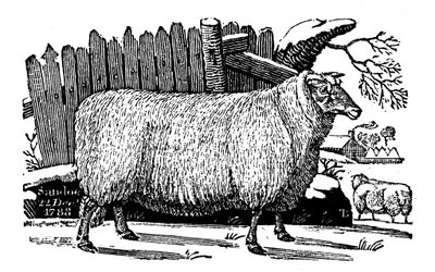 Dishley New Leicester Schafe, 1811 von Unbekannt