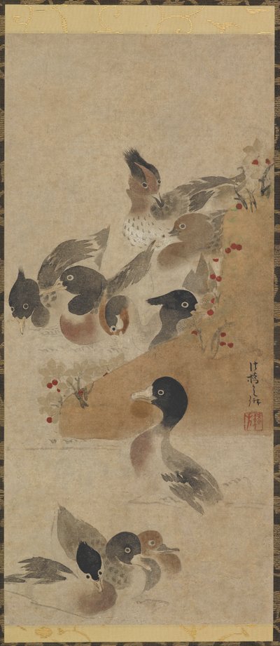 Enten von Unbekannt